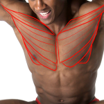 A preview of photos of a mostly naked person drawn over to indicate the pectoral muscles