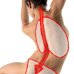 A preview of photos of a naked person drawn over to indicate the ribcage, spine, and pelvis