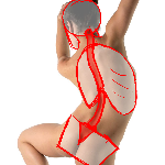 A preview of photos of a naked person drawn over to indicate the ribcage, spine, and pelvis