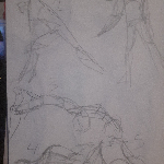 A preview of various gesture sketches