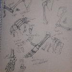 A preview of traditional sketches depicting the joints of the body