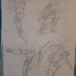 A preview of various gesture sketches