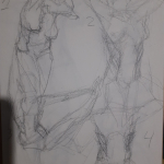 A preview of traditional figure sketches focusing on the obliques