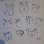 A preview of traditional sketches depicting shoulder blades and the ribcage in various positions and angles